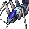 Greater coil spider l.png