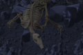Forsaken Island skeleton.png